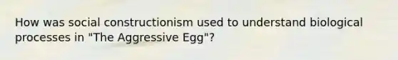 How was social constructionism used to understand biological processes in "The Aggressive Egg"?