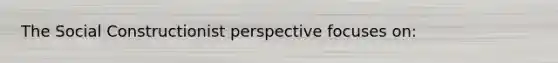 The Social Constructionist perspective focuses on: