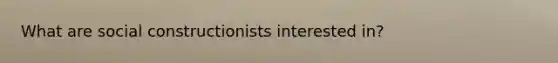 What are social constructionists interested in?