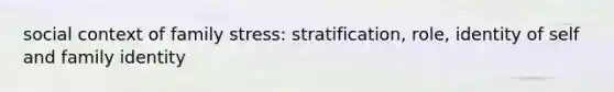 social context of family stress: stratification, role, identity of self and family identity