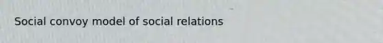 Social convoy model of social relations