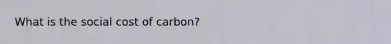 What is the social cost of carbon?