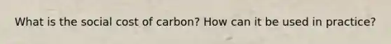 What is the social cost of carbon? How can it be used in practice?