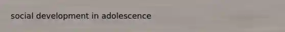 social development in adolescence