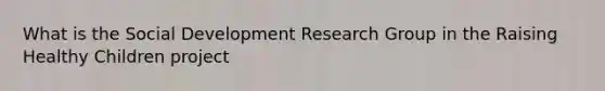 What is the Social Development Research Group in the Raising Healthy Children project