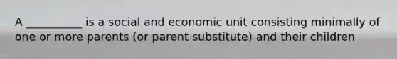 A __________ is a social and economic unit consisting minimally of one or more parents (or parent substitute) and their children