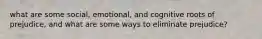 what are some social, emotional, and cognitive roots of prejudice, and what are some ways to eliminate prejudice?