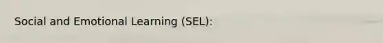 Social and Emotional Learning (SEL):