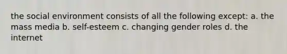 the social environment consists of all the following except: a. the mass media b. self-esteem c. changing gender roles d. the internet