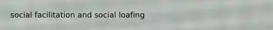 social facilitation and social loafing