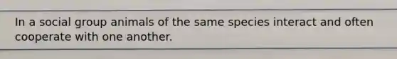 In a social group animals of the same species interact and often cooperate with one another.