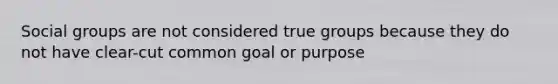 Social groups are not considered true groups because they do not have clear-cut common goal or purpose