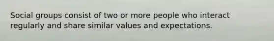 Social groups consist of two or more people who interact regularly and share similar values and expectations.