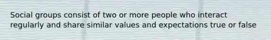 Social groups consist of two or more people who interact regularly and share similar values and expectations true or false