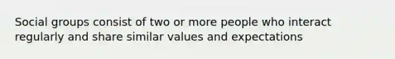 Social groups consist of two or more people who interact regularly and share similar values and expectations