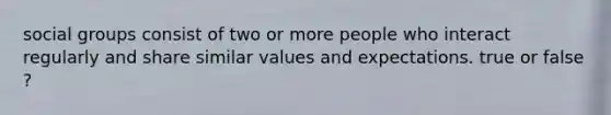 social groups consist of two or more people who interact regularly and share similar values and expectations. true or false ?