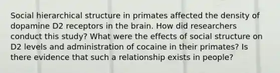 Social hierarchical structure in primates affected the density of dopamine D2 receptors in the brain. How did researchers conduct this study? What were the effects of social structure on D2 levels and administration of cocaine in their primates? Is there evidence that such a relationship exists in people?