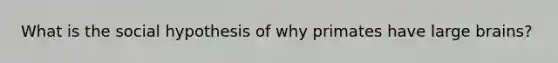 What is the social hypothesis of why primates have large brains?