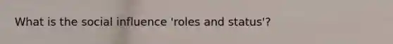 What is the social influence 'roles and status'?