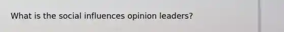 What is the social influences opinion leaders?