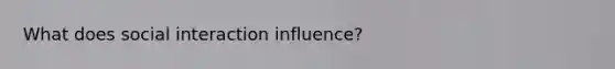 What does social interaction influence?