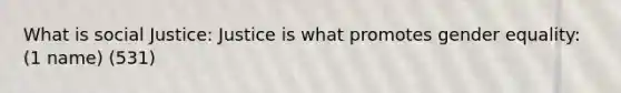 What is social Justice: Justice is what promotes gender equality: (1 name) (531)