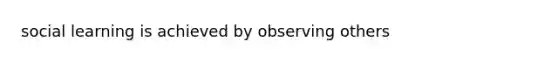 social learning is achieved by observing others