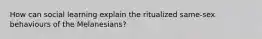 How can social learning explain the ritualized same-sex behaviours of the Melanesians?