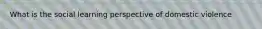 What is the social learning perspective of domestic violence