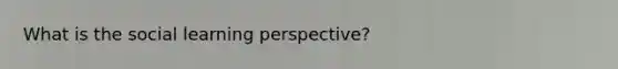 What is the social learning perspective?