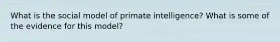 What is the social model of primate intelligence? What is some of the evidence for this model?