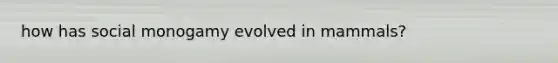 how has social monogamy evolved in mammals?