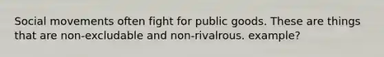 Social movements often fight for public goods. These are things that are non-excludable and non-rivalrous. example?