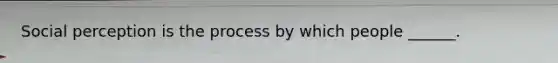 Social perception is the process by which people ______.