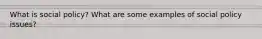 What is social policy? What are some examples of social policy issues?