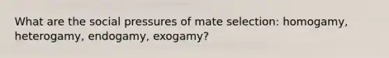 What are the social pressures of mate selection: homogamy, heterogamy, endogamy, exogamy?