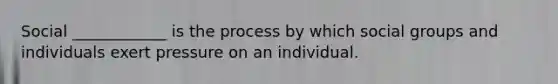 Social ____________ is the process by which social groups and individuals exert pressure on an individual.