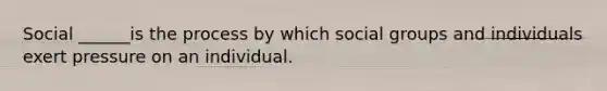 Social ______is the process by which social groups and individuals exert pressure on an individual.