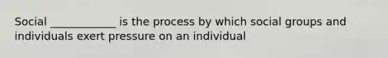 Social ____________ is the process by which social groups and individuals exert pressure on an individual