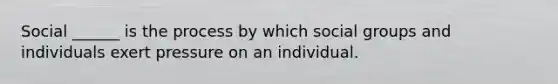 Social ______ is the process by which social groups and individuals exert pressure on an individual.