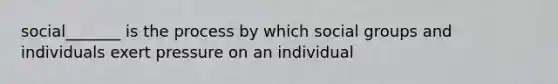 social_______ is the process by which social groups and individuals exert pressure on an individual