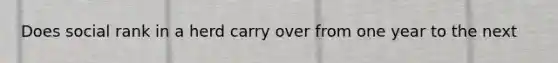 Does social rank in a herd carry over from one year to the next