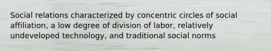 Social relations characterized by concentric circles of social affiliation, a low degree of division of labor, relatively undeveloped technology, and traditional social norms