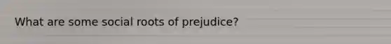 What are some social roots of prejudice?