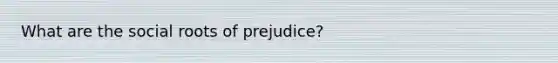 What are the social roots of prejudice?