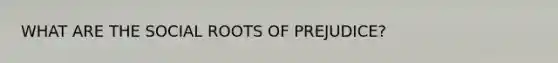 WHAT ARE THE SOCIAL ROOTS OF PREJUDICE?