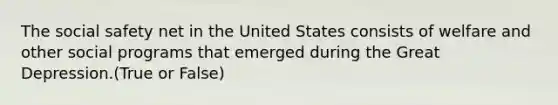 The social safety net in the United States consists of welfare and other social programs that emerged during the Great Depression.(True or False)