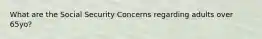 What are the Social Security Concerns regarding adults over 65yo?