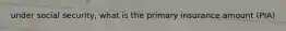 under social security, what is the primary insurance amount (PIA)