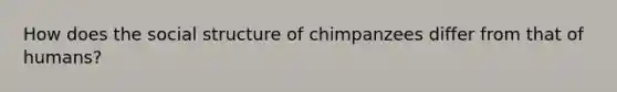 How does the social structure of chimpanzees differ from that of humans?